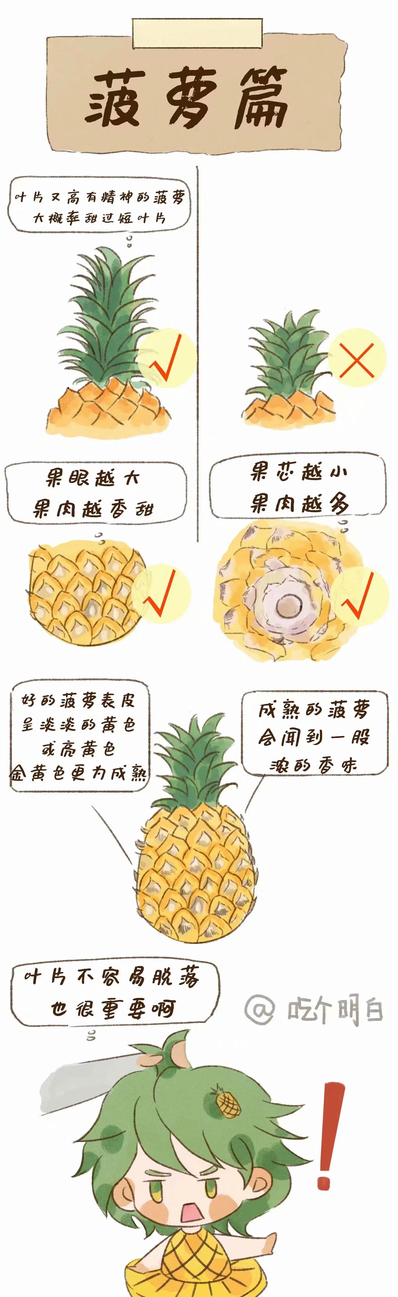 夏季挑水果攻略来喽