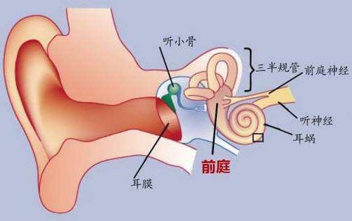 晕车、晕船、晕飞机！难受！外出游玩都成难题！如何预防与治疗？