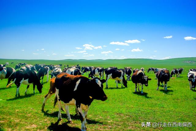 沿着额尔古纳河右岸行走，找寻中国内河到中俄界河的历史脉络