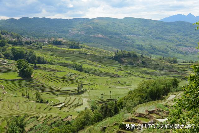 自驾云南元阳7天，走遍了所有景区梯田，我们总结了这些经验攻略