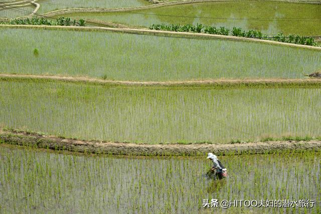 自驾云南元阳7天，走遍了所有景区梯田，我们总结了这些经验攻略