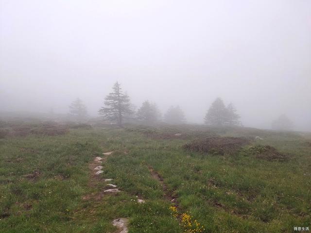 南北穿越太白山，上了拔仙台看到了壮观的云海，实在是不虚此行