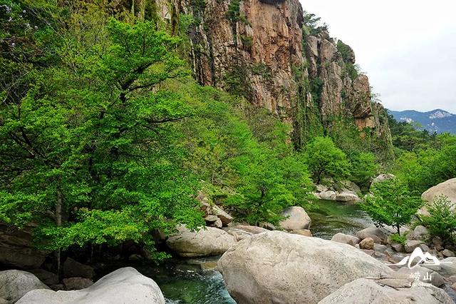 原来，夏日 “小森林” 就在这里！