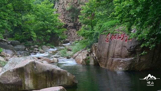 原来，夏日 “小森林” 就在这里！