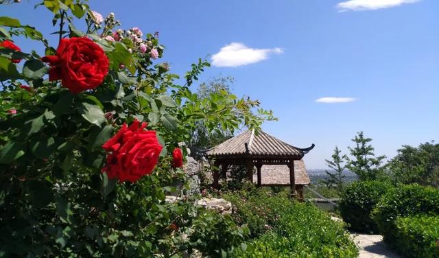 北京夏天避暑乘凉一定要来这儿！天然空调凉爽还洗肺~