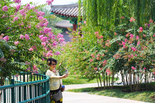 北京口碑最好的博物馆，门票停车都免费，距离市区仅20公里