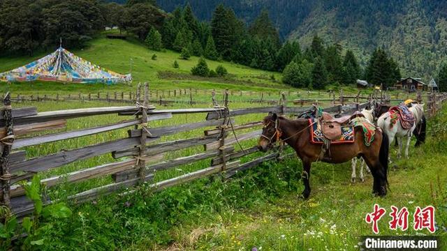 景美客自来 西藏林芝农牧民旅游脱贫记