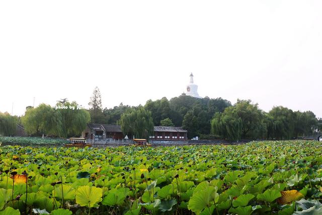 在北京徒步四个景区，痛并快乐着