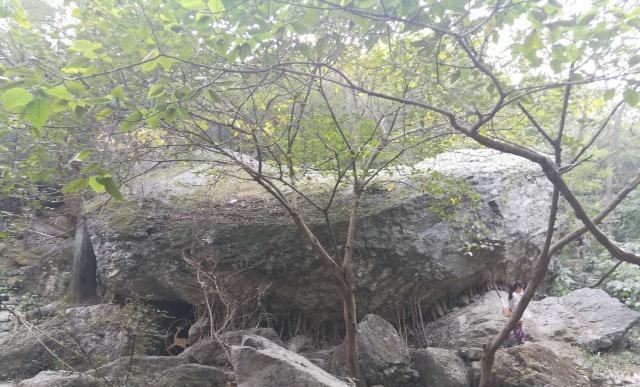 北京植物园一日游