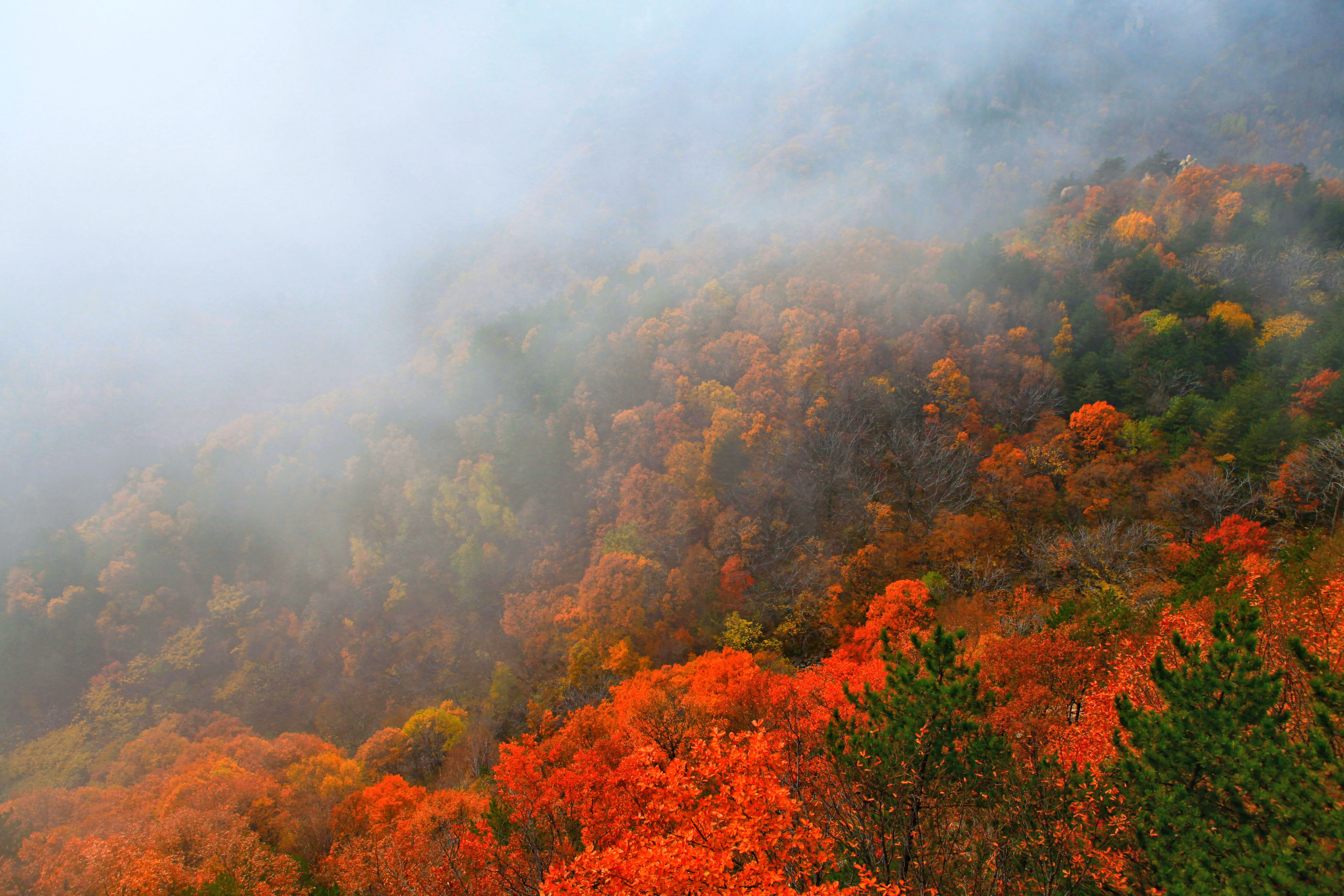 距北京一个多小时车程的雾灵山，这里的秋色足可以惊艳到你