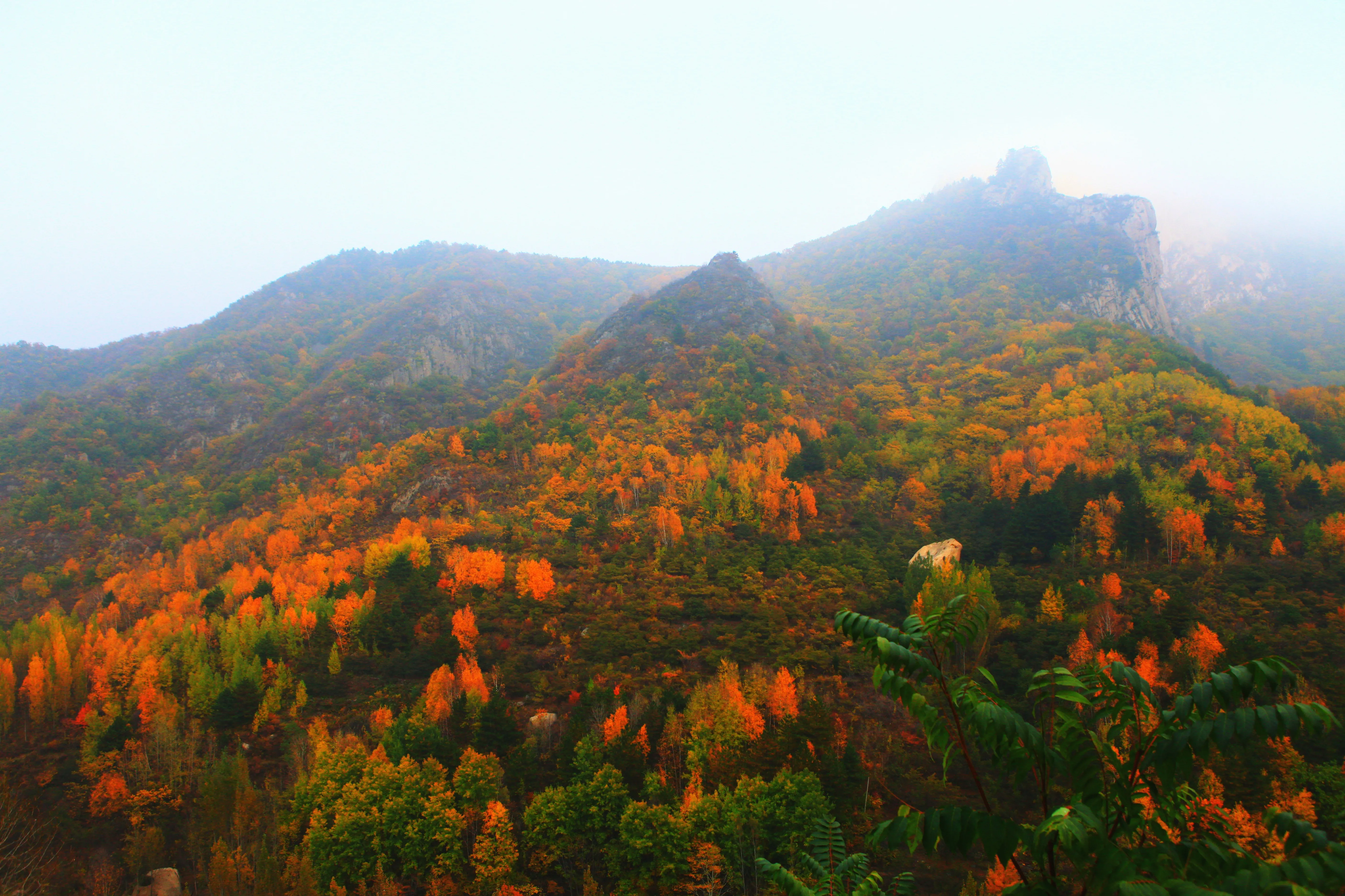 距北京一个多小时车程的雾灵山，这里的秋色足可以惊艳到你