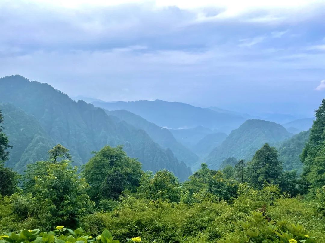 超详细超实用！峨眉山2天1晚徒步攻略收藏起来慢慢看