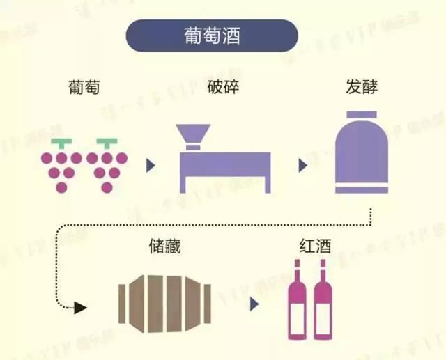 五张图告诉你粮食酒是怎样酿成的