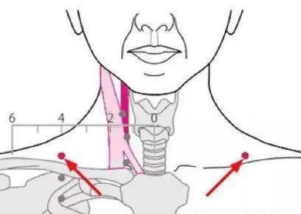 一觉醒来脖子僵硬？中医支招：按这三个穴位自救，立即缓解