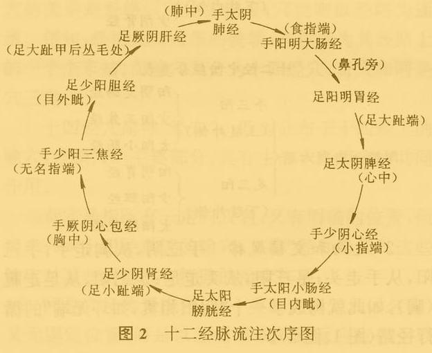 老中医5分钟教你看懂12经络，最简单的十二经络讲解，收藏了吧！