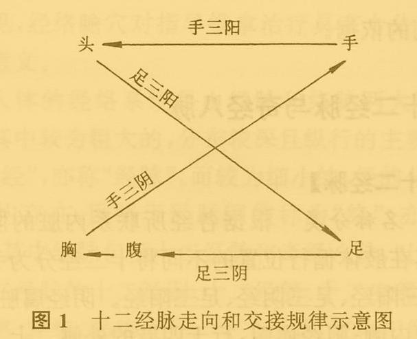 老中医5分钟教你看懂12经络，最简单的十二经络讲解，收藏了吧！