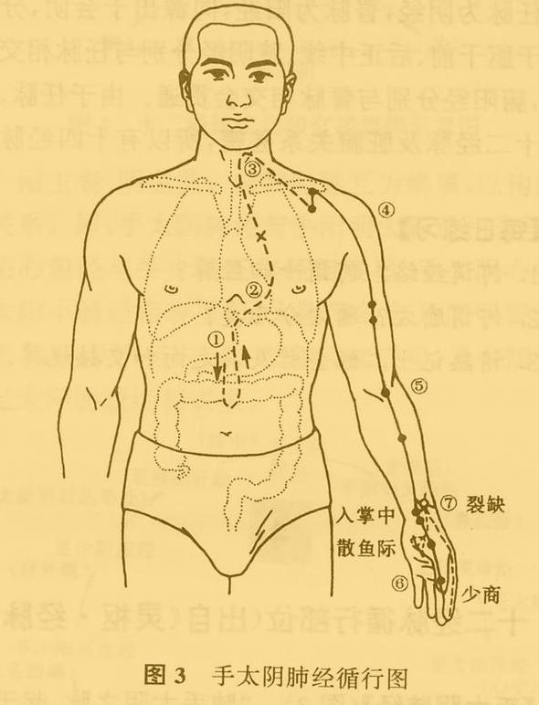 老中医5分钟教你看懂12经络，最简单的十二经络讲解，收藏了吧！