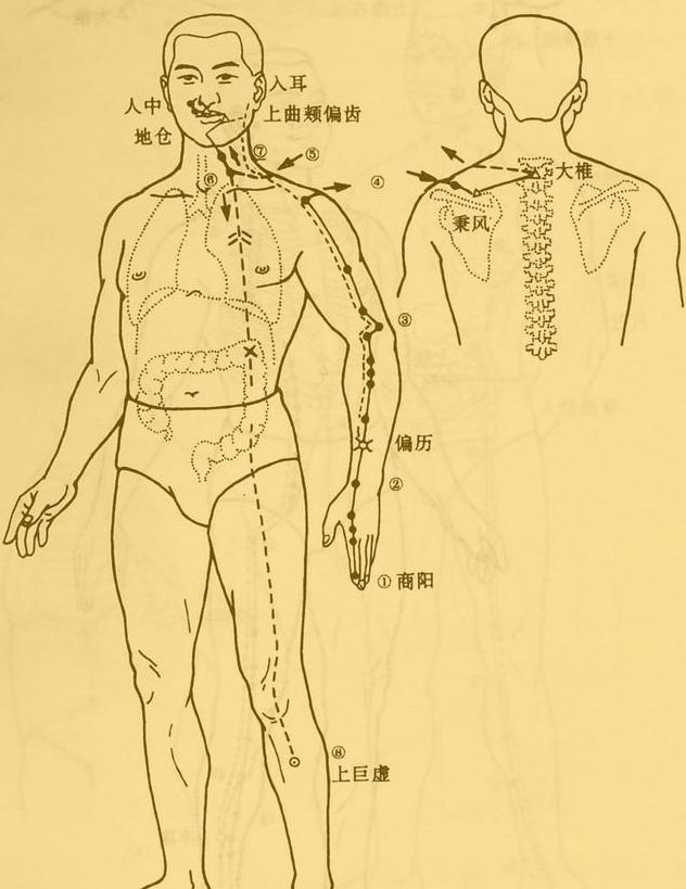 老中医5分钟教你看懂12经络，最简单的十二经络讲解，收藏了吧！