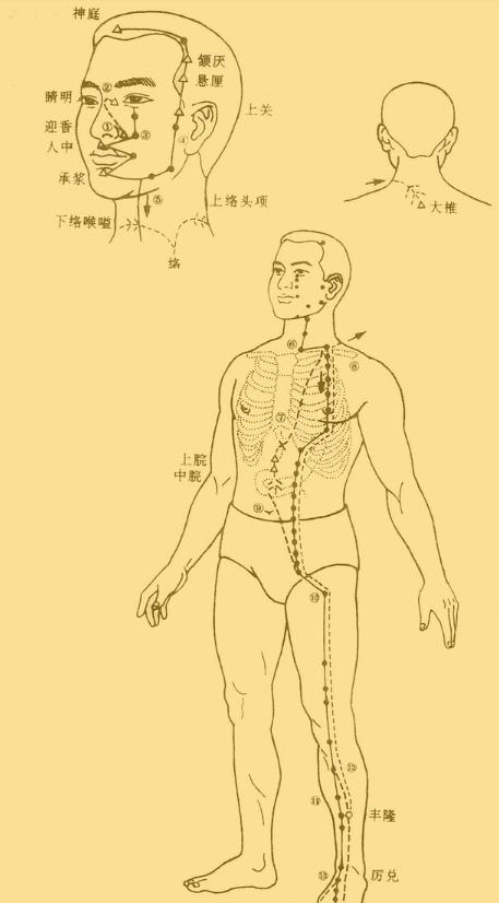 老中医5分钟教你看懂12经络，最简单的十二经络讲解，收藏了吧！