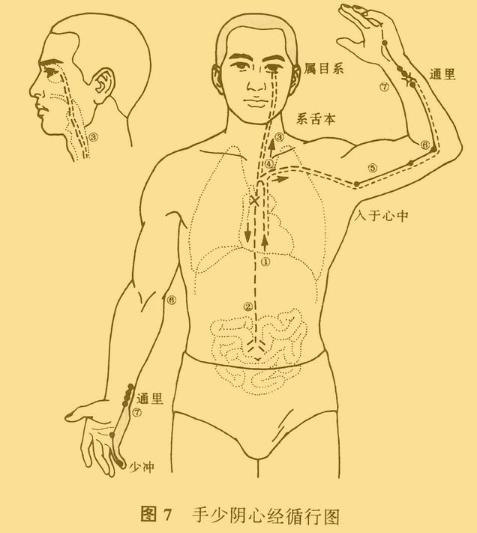 老中医5分钟教你看懂12经络，最简单的十二经络讲解，收藏了吧！