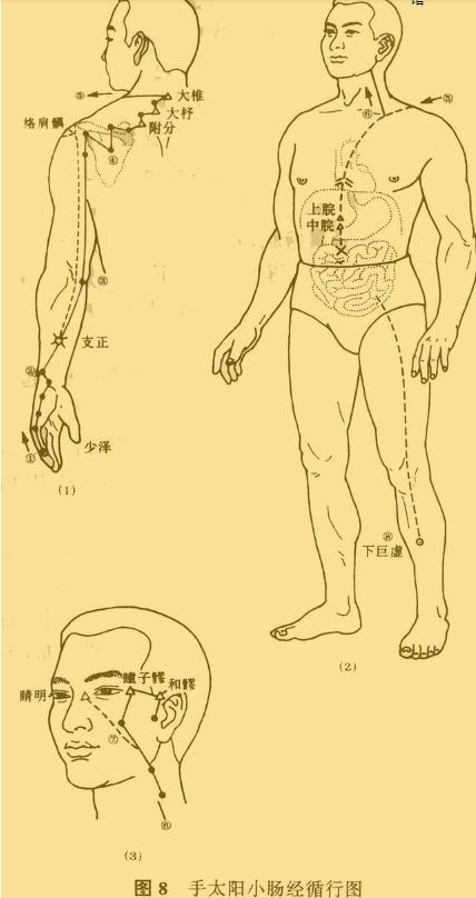老中医5分钟教你看懂12经络，最简单的十二经络讲解，收藏了吧！
