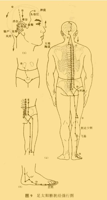 老中医5分钟教你看懂12经络，最简单的十二经络讲解，收藏了吧！