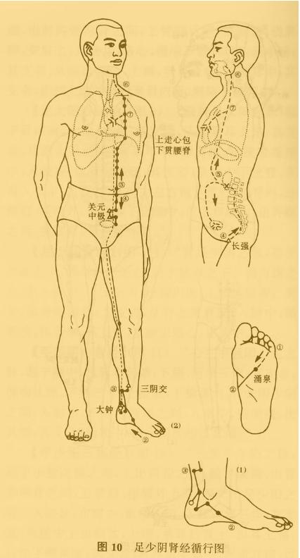 老中医5分钟教你看懂12经络，最简单的十二经络讲解，收藏了吧！