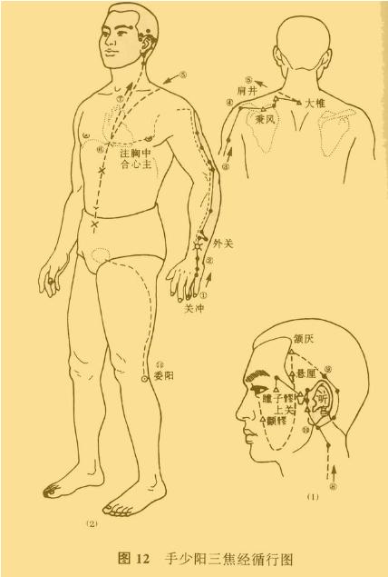 老中医5分钟教你看懂12经络，最简单的十二经络讲解，收藏了吧！