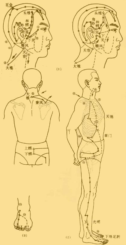 老中医5分钟教你看懂12经络，最简单的十二经络讲解，收藏了吧！