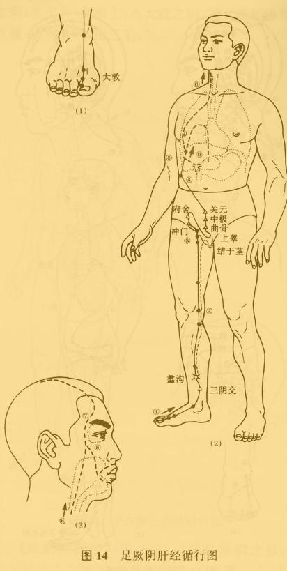 老中医5分钟教你看懂12经络，最简单的十二经络讲解，收藏了吧！