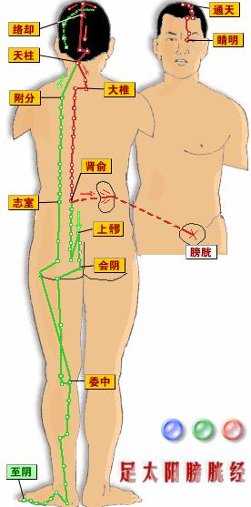 老中医5分钟教你看懂12经络，最简单的十二经络讲解，收藏了吧！