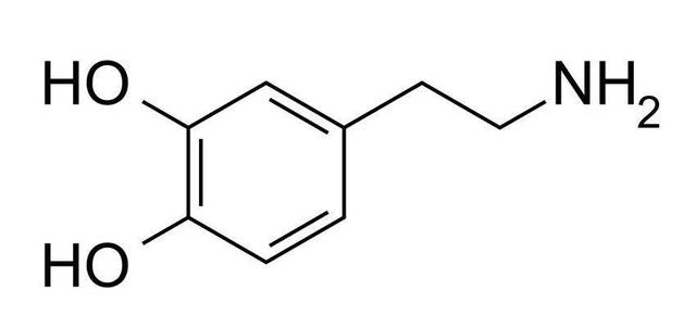 糖瘾、烟瘾、酒瘾、零食瘾、游戏瘾、背后竟是多巴胺在作怪