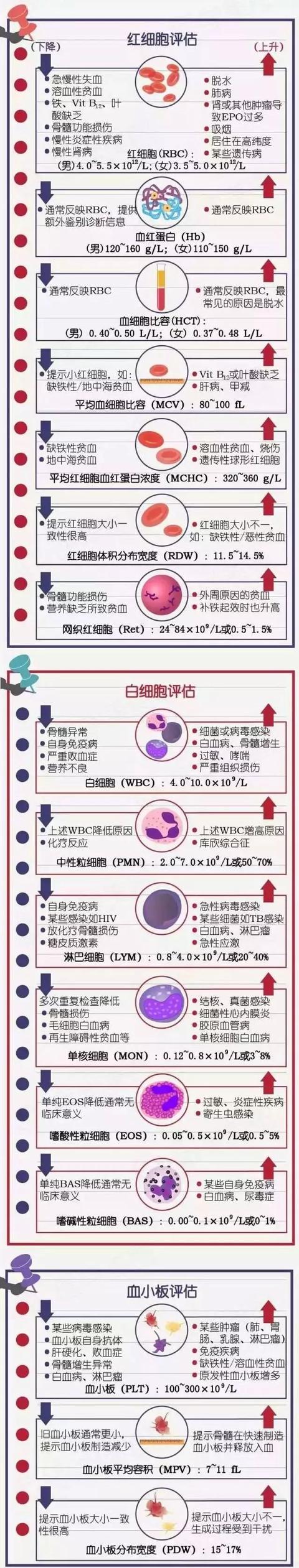 超全解读告诉你，血常规能检查出什么？