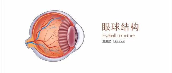 @家长，远离孩子视力保护的7个误区