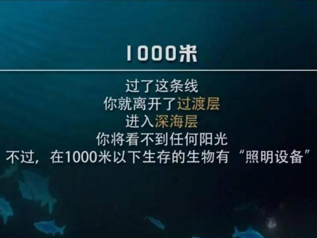 深海压力那么大，金属都能压扁，为什么鱼却没事？