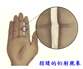 双缝干涉实验最新解释