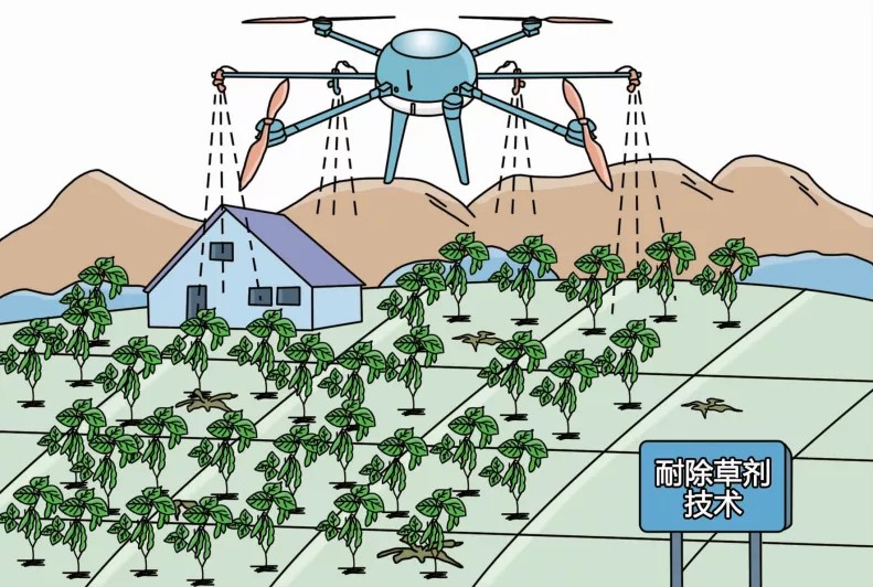 【转基因你问我答】转基因的来源基因有哪些？安全吗？