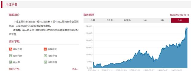 A股震荡回调选好赛道，医药、消费、科技主题基金后半年这样布局