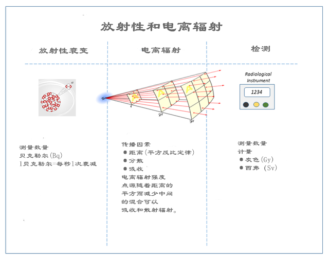 什么是辐射？关于香蕉的放射性可能被我们夸大了