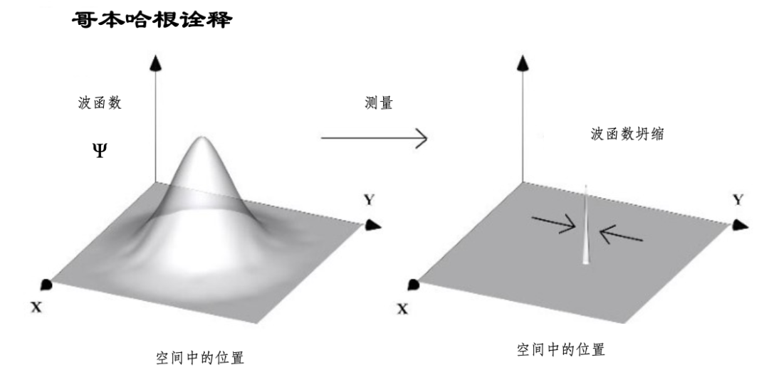 薛定谔的猫：物理学史上最怪诞的思想实验