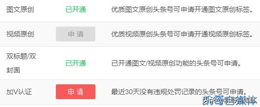 今日头条如何加黄V认证？了解这两个方法，人人都能成黄V