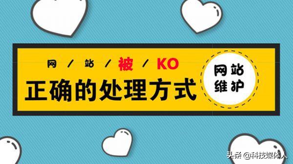 网站被K后不同程度的处理方法大全，值得收藏的详细版