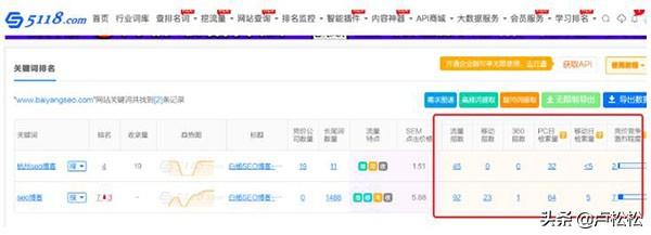 一文告诉你SEO站长综合查询工具-5118功能使用大全