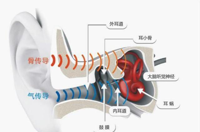 为什么微信听自己语音，会觉得难听不像自己声音？看完涨知识了