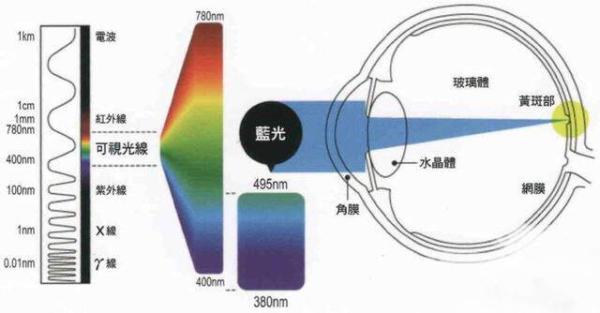 用眼过度，打开手机“护眼模式”真的有用吗？