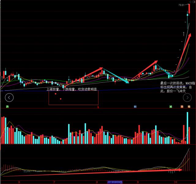 终于有人把“MACD指标背离”通透了，看懂散户都能赚钱