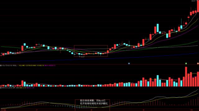 终于有人把“MACD指标背离”通透了，看懂散户都能赚钱