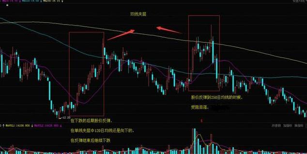 中国股市：为什么散户总是拿不住一只好股票？本文很短，值得深读