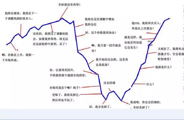 为什么你买的基金总是亏？3点教你正确的建仓方式