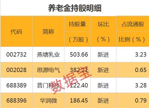 国家队重仓股曝光！社保、养老金同时盯上两股，包括半导体龙头股